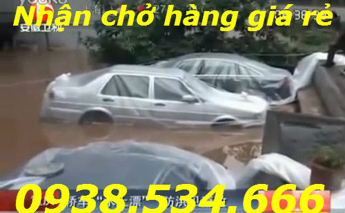 Áo mưa cho xe hơi - giải pháp mùa mưa