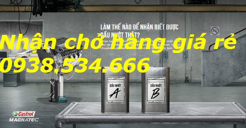 Học viện bảo vệ ôtô đầu tiên tại Việt Nam