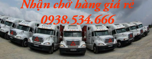 Giao thông kỳ lạ ở Nhật dưới góc nhìn người Việt