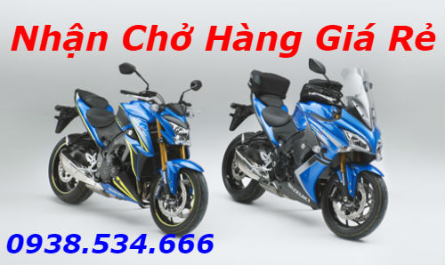 Suzuki giới thiệu hai mẫu môtô bản đặc biệt